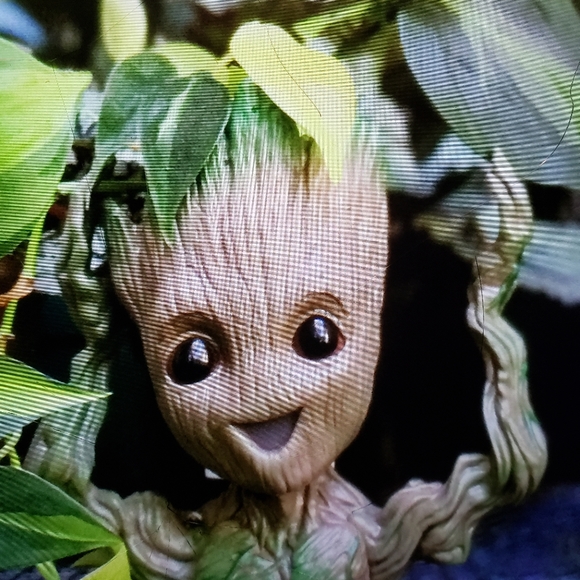 4 Groot  Bundle - Picture 2 of 5